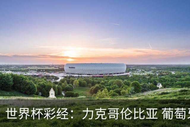世界杯彩经：力克哥伦比亚 葡萄牙抢占榜首