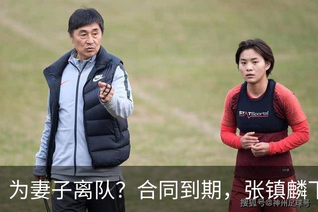 为妻子离队？合同到期，张镇麟下家4选1，广东2队有机会